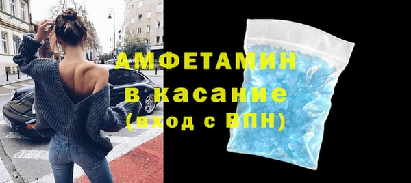 прущие грибы Горняк