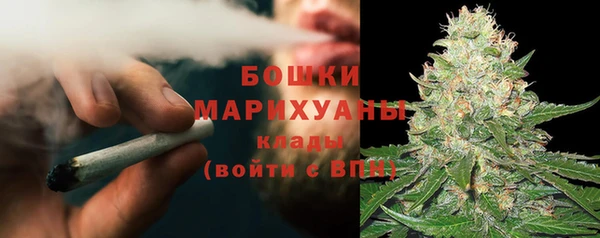 прущие грибы Горняк