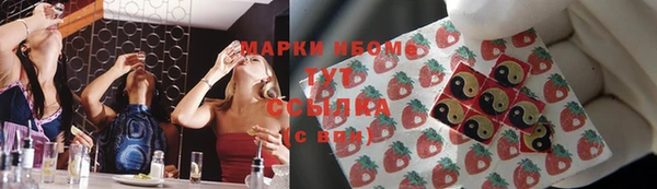 прущие грибы Горняк