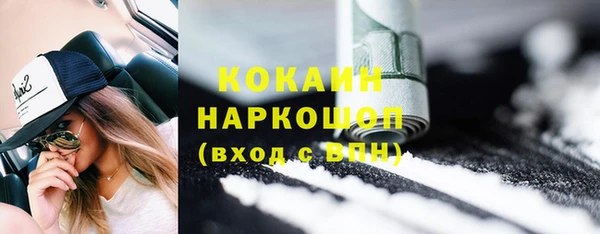 прущие грибы Горняк