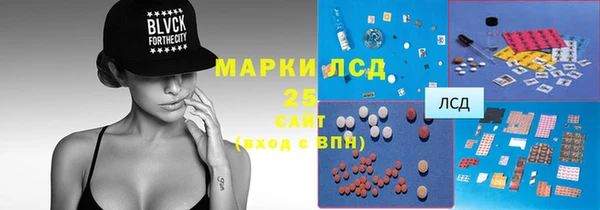 прущие грибы Горняк