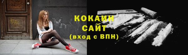 прущие грибы Горняк