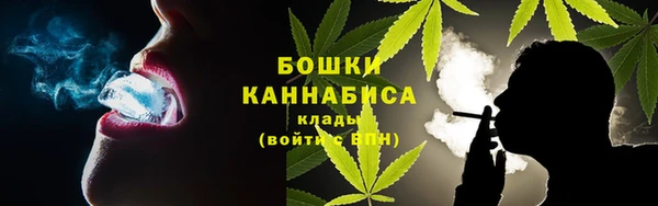 СК Горнозаводск