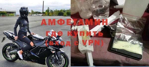 прущие грибы Горняк