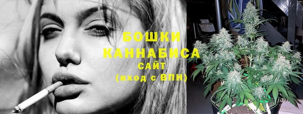СК Горнозаводск