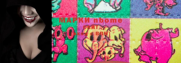 прущие грибы Горняк