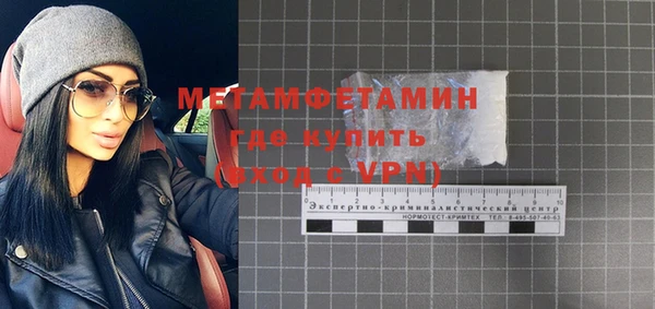 прущие грибы Горняк
