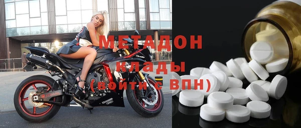 прущие грибы Горняк