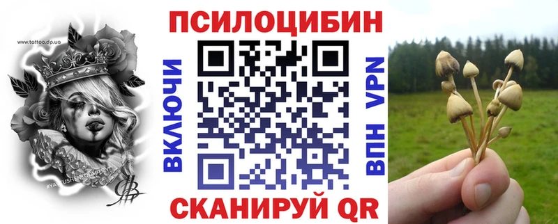 KRAKEN зеркало Артём Псилоцибиновые грибы мухоморы
