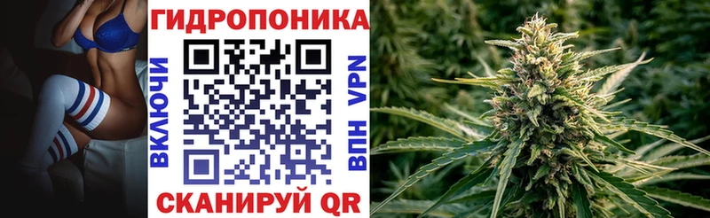 купить наркотики сайты  Артём  Бошки Шишки гибрид 